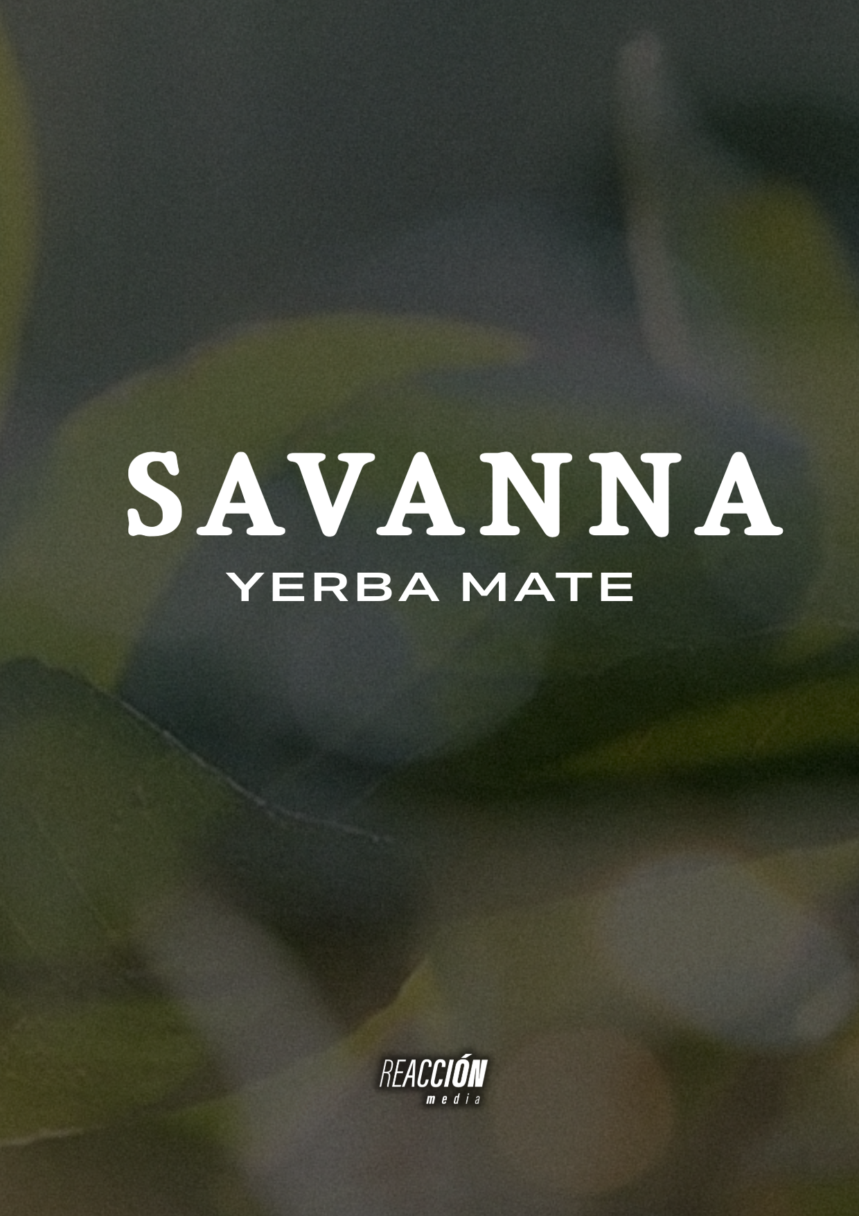 SAVANNA portfolio A4-1
